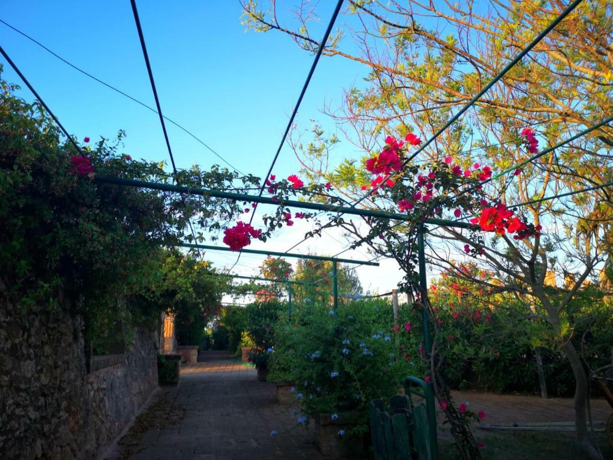 Masseria Provenzani Villa Trepuzzi Eksteriør bilde