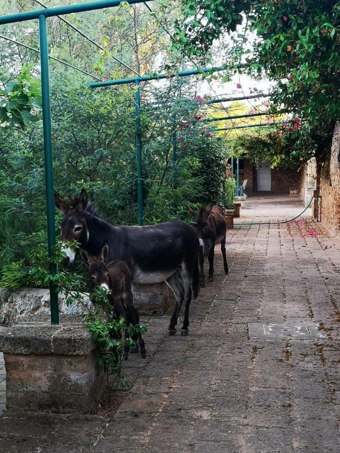 Masseria Provenzani Villa Trepuzzi Eksteriør bilde