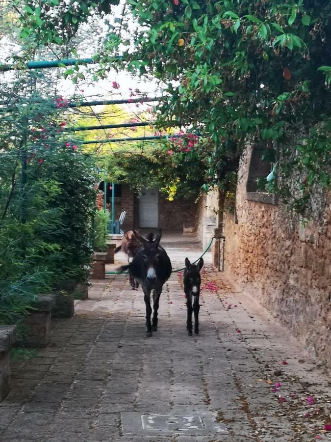 Masseria Provenzani Villa Trepuzzi Eksteriør bilde